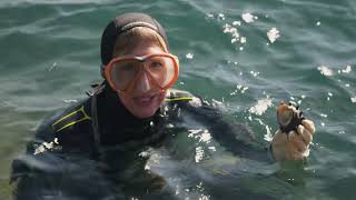 Season 8 Preview Travels With Darley