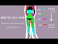 脂肪が落ち始めた順番