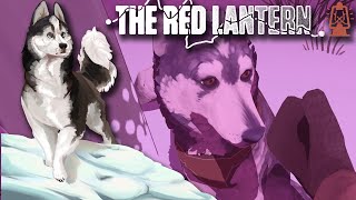 Winning the TRUST of Our Shy Sled Dog!!  The Red Lantern • #15