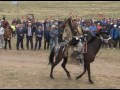 В Туве впервые состоялись конные скачки, посвященные памяти Тувинских добровольцев, освобождавших СС