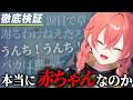 【徹底検証】獅子堂あかりは本当に赤ちゃんなのか【にじさんじ切り抜き/獅子堂あかり/イディオス】@niji_invest