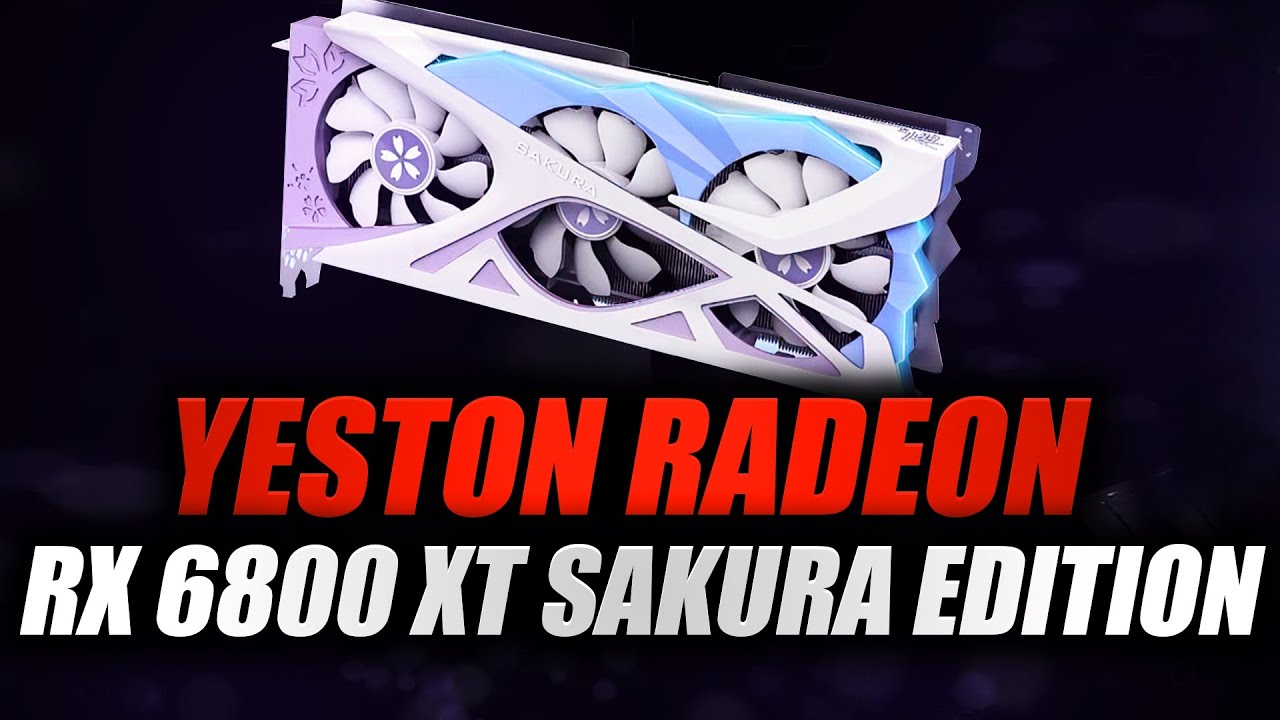 Yeston Radeon Rx 6800 Xt Sakura Edition Primeiras Imagens Youtube