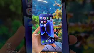 Xiaomi 17 pro max