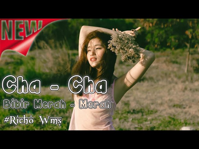 Bibir Merah - Merah - Cha - Cha Remix Terbaru 2024 || By Richo Wms class=