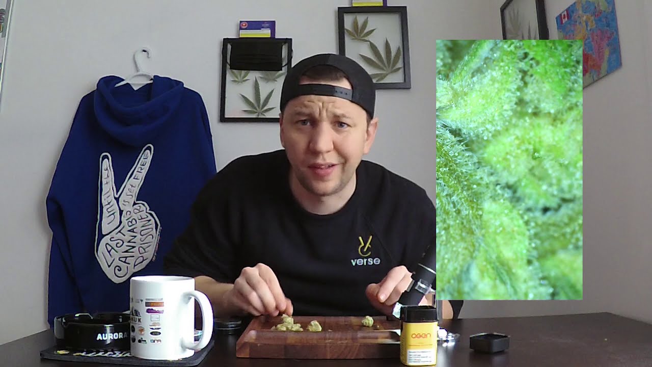 OGEN - Lemon Z Review ( Educational/Consumer Awareness)