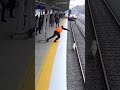 “He Jumped on the Tracks With Seconds Left… Unbelievable Rescue 😱🐶”