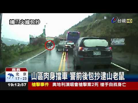 山區肉身擋車警前後包抄逮山老鼠
