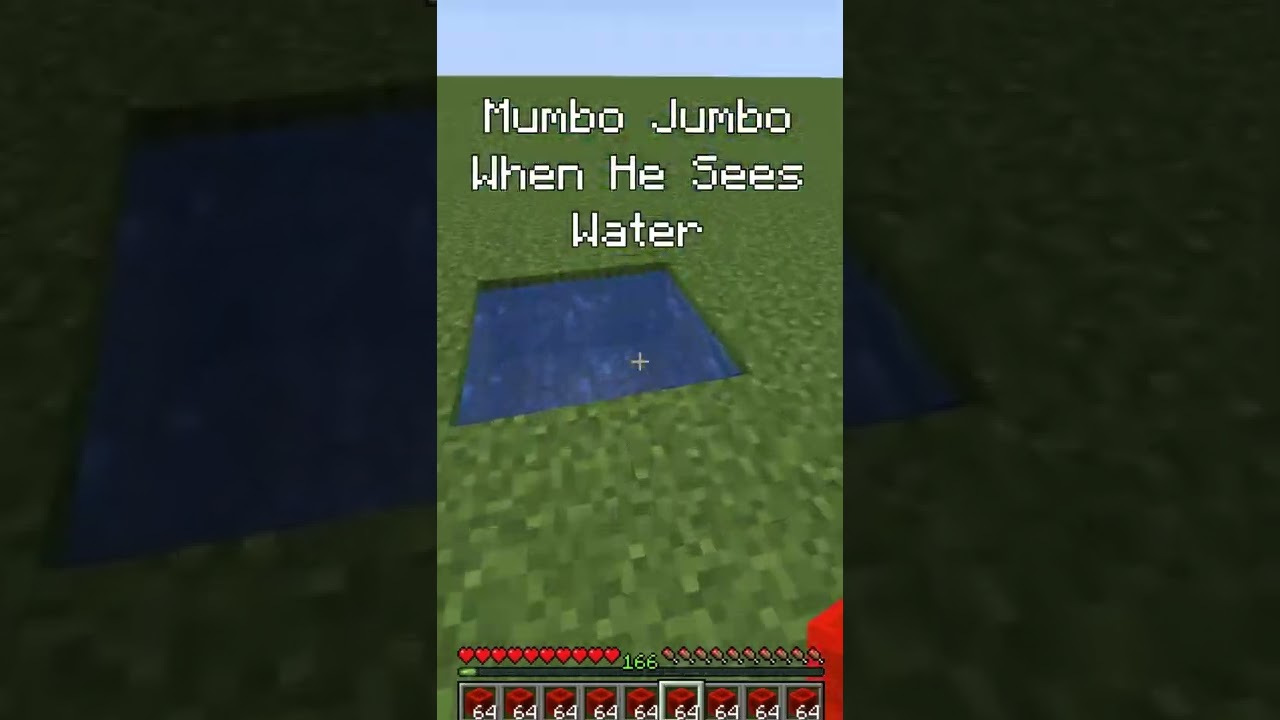 Mumbo Jumbo When He Sees Water😂😂