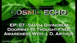 Salvia Divinorum - Doorway to Thought-Free Awareness | Cosmic Echo Podcast