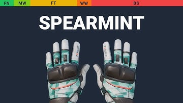 Moto Gloves Spearmint - Skin Float And Wear Preview