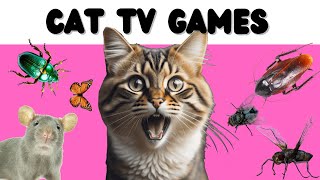 Cat Games  Home Kitchen Edition  Mice, Butterfly, Bugs, Lizard...