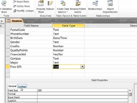 Input Masks Lookups and Validation Rules - YouTube