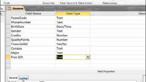 Input Masks Lookups and Validation Rules