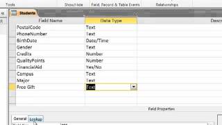 Input Masks Lookups and Validation Rules screenshot 5