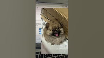 Cách cứu lại Via bị hạn chế vĩnh viễn| Quảng cáo Facebook Ads| Nguyễn Anh Tuấn #quangcaofacebook