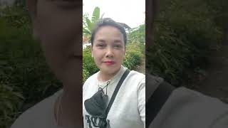 Njajah desa milang kori