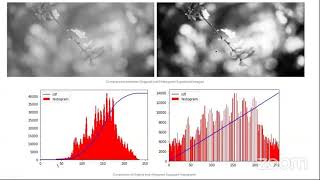 Img Enhancement technique (Histogram equalization, clahe)