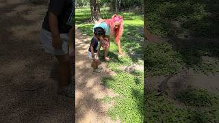 Baby Alligator Attacks Mom & Son 🐊 #shorts #fyp
