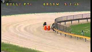 Bulli-PT-05022016-Race-1