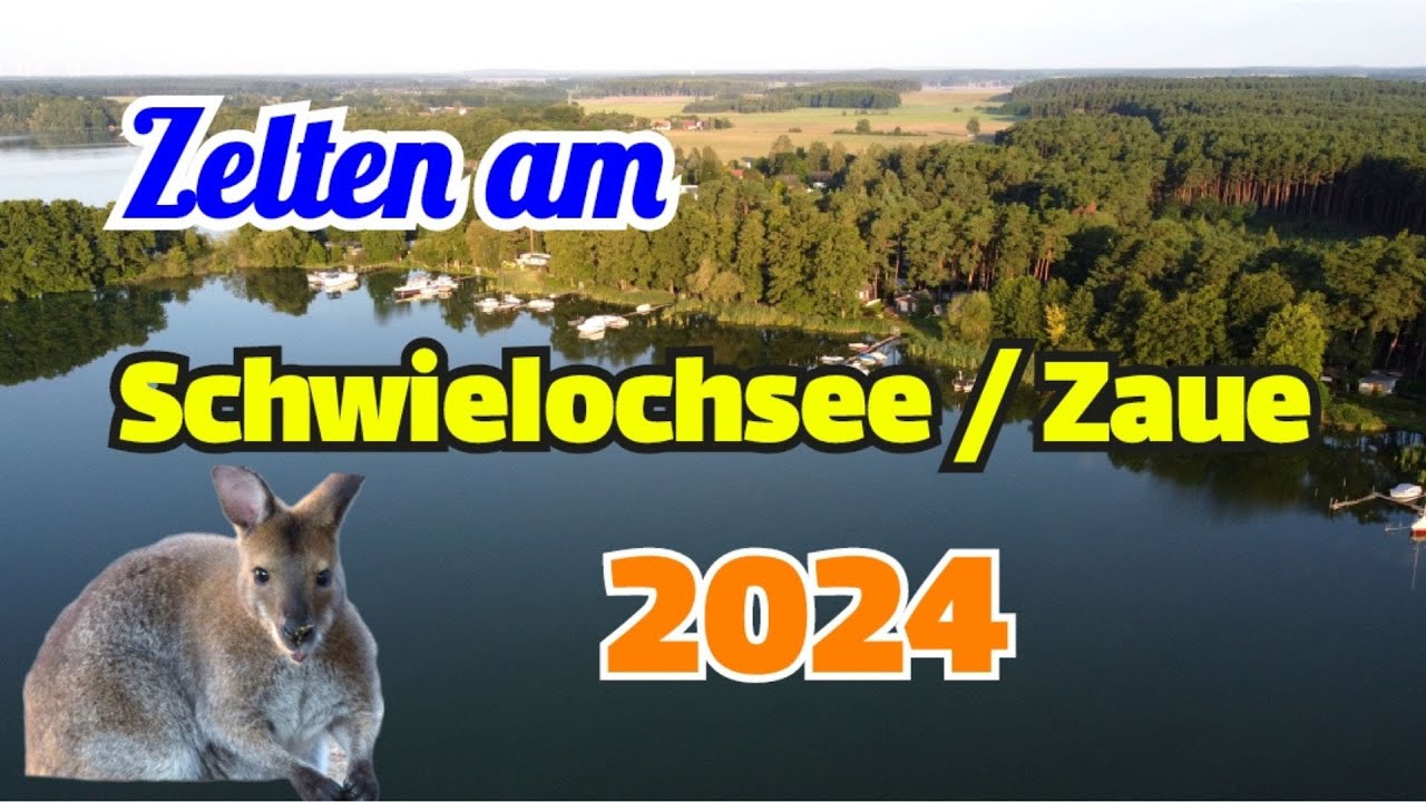 Zelten Schwielochsee / Zaue 2024 / Kngurus auf dem Platz
