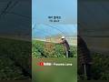 Talgi ta jhundyaunu parne vo #youtubeshorts #shorts