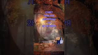 СОВЕТ ОРАКУЛА ЛЕНОРМАН НА 28 ОКТЯБРЯ #shorts #tarot #таро #топ #рекомендации #2025 #любовь #таролог