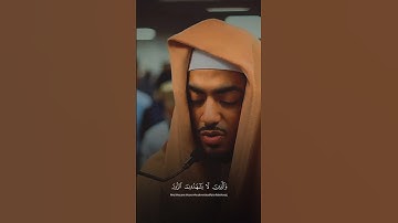 راحه نفسيه بتلاوة خاشعه من فضيلة الشيخ "إبراهيم ادريس" ✨🤍🎞 ( و الذين لا يشهدون الزور ) أكمل للآخر