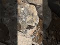 Rock to Gravel in One Move ➡️⚙️ #shorts
