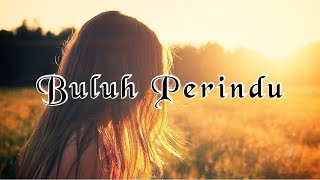 Buluh Perindu-Mukhtar Hadist(Lirik) Cover by Vhenya