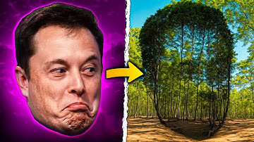 How to use illusion diffusion To Make Optical Images - Free