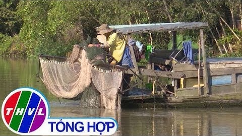 Vẫn còn tình trạng sử dụng xung điện đánh bắt thủy sản tại Hậu Giang