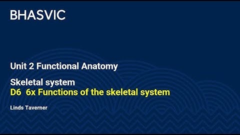 D6 6x Functions of the skeletal system