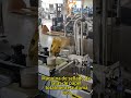 Máquina automática para sellar latas de papel, selladora de tubos de papel