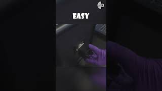 Honey Bees Are Replacing Sniffer Dogs