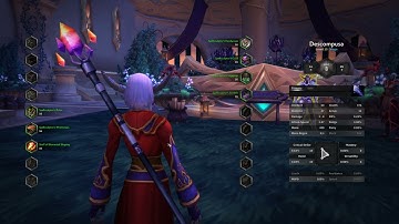 How to use Zygor Guides in Wow Dragonflight Level up like a PRO