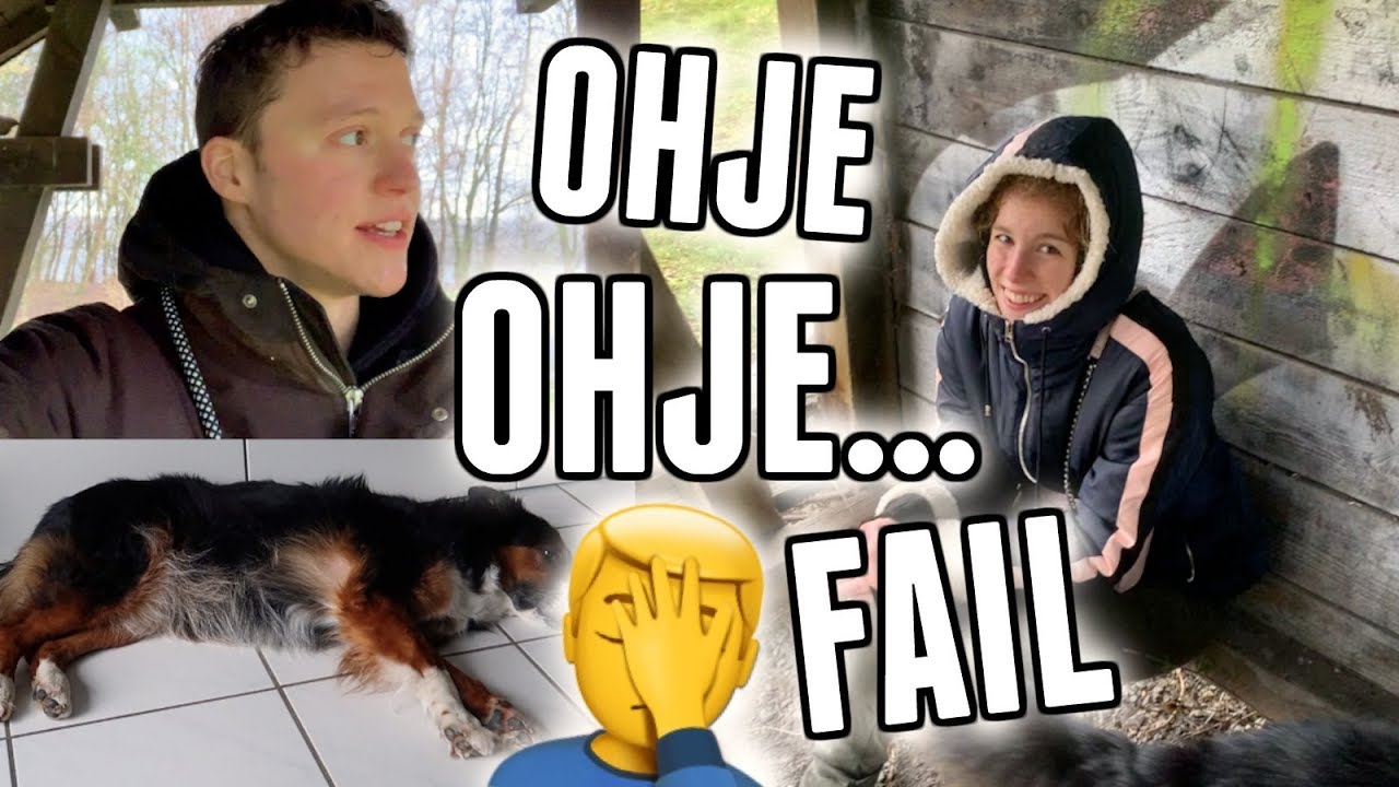 Alltag mit Hund und sehr interessante Neuigkeiten! - Vlog 116