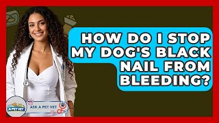 How Do I Stop My Dog's Black Nail From Bleeding? - Ask A Pet Vet