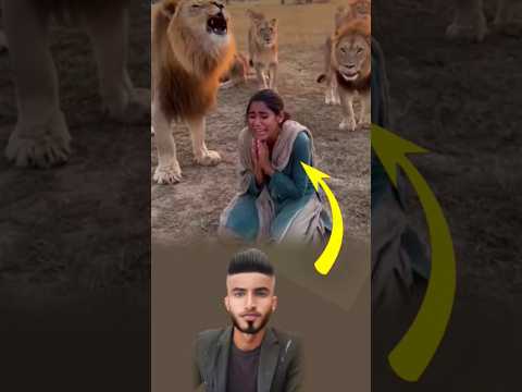 رفعت يديها للسماء فسكنت الأسود برحمة رب العالمين Shorts