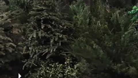 Outdoor Fun! (2003 Version) Part 54