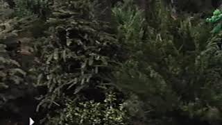 Outdoor Fun! (2003 Version) Part 54