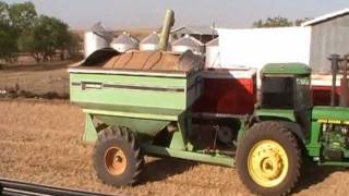 2011 West Texas Wheat Harvest
