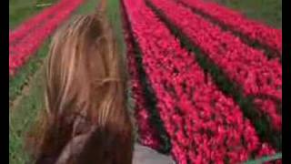 Frederique Van Der Wal - The Invisible Journey