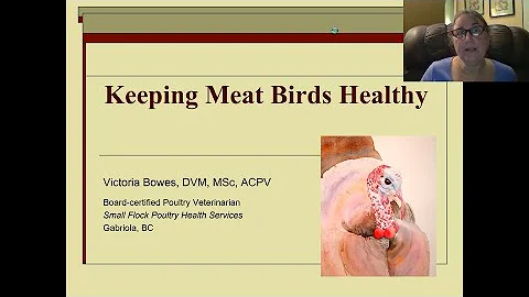 Broiler Flock Health with Dr. Victoria Bowes