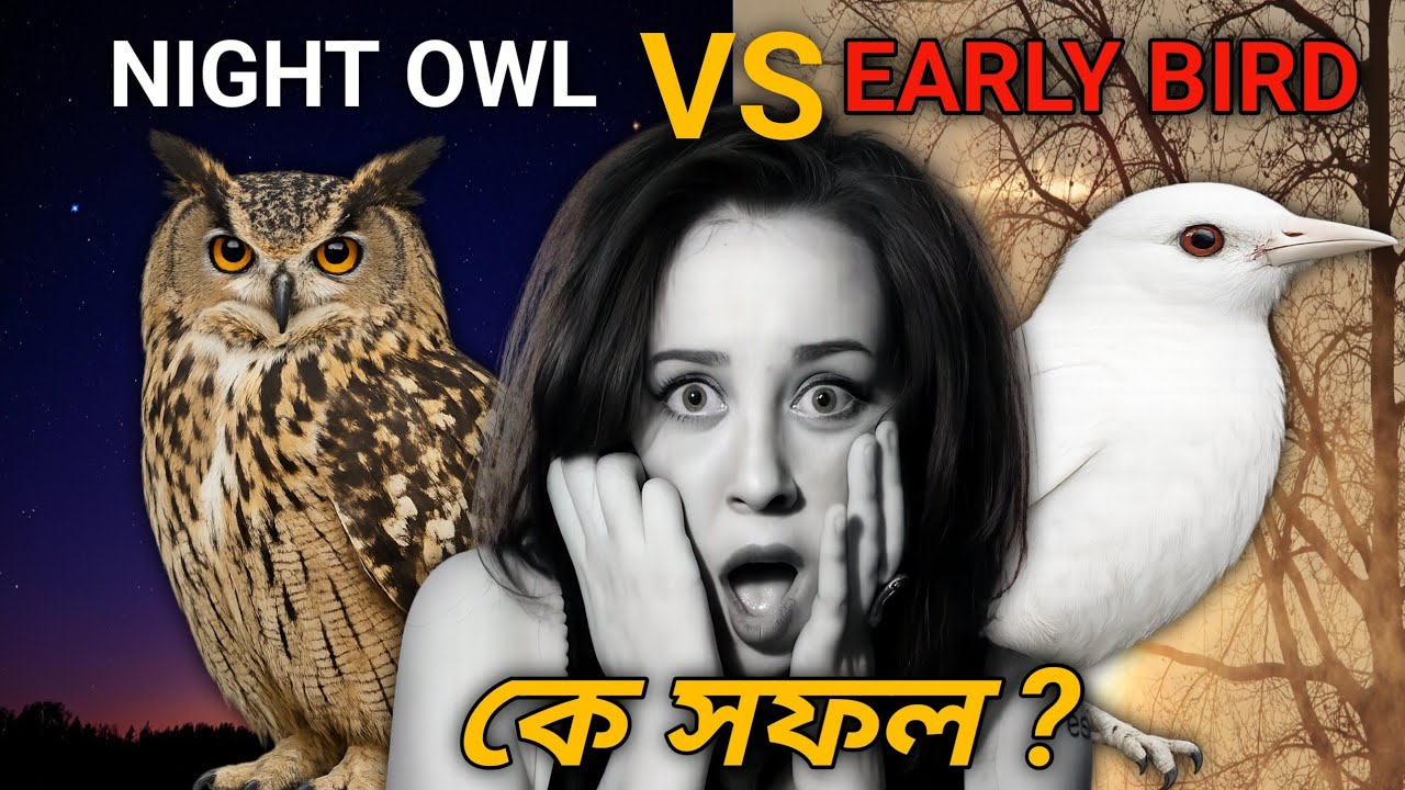 Night Owl vs Early Bird ।।কে আসলে বেশি সফল (৯০% মানুষ জানে না)#facts#success  #success is a journey 
