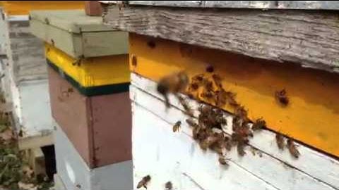 NWNJBA Video Short - Early March 2015 Flights