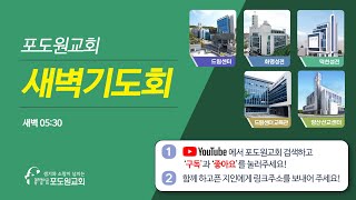 2024.04.25 포도원교회 새벽기도회(설교영상)