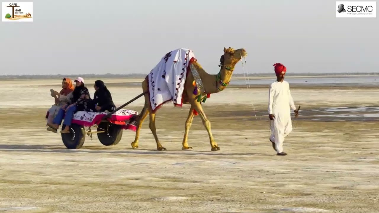 Rann of Kutch Sindh Pakistan