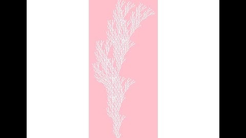 AI Application: Real-Time Segmentation with YOLACT from Video