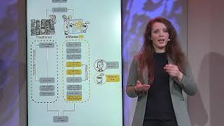 3-minute teaser on differences between classic systematic reviews versus using active learning