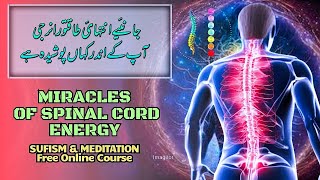 Miracles of Spinal Cord Energy - Sufism Pakistan meditation spirituality aura meditate sufism